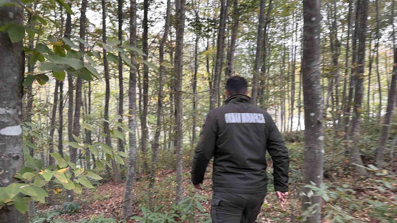 orman-yangini-ve-yaralilara-hizli-mudahale