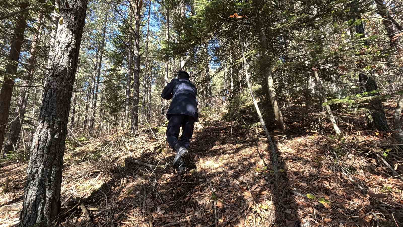 ormanda-kaybolan-88-yasindaki-adamdan-aci-haber-dere-yataginda-cansiz-bedenine-ulasildi