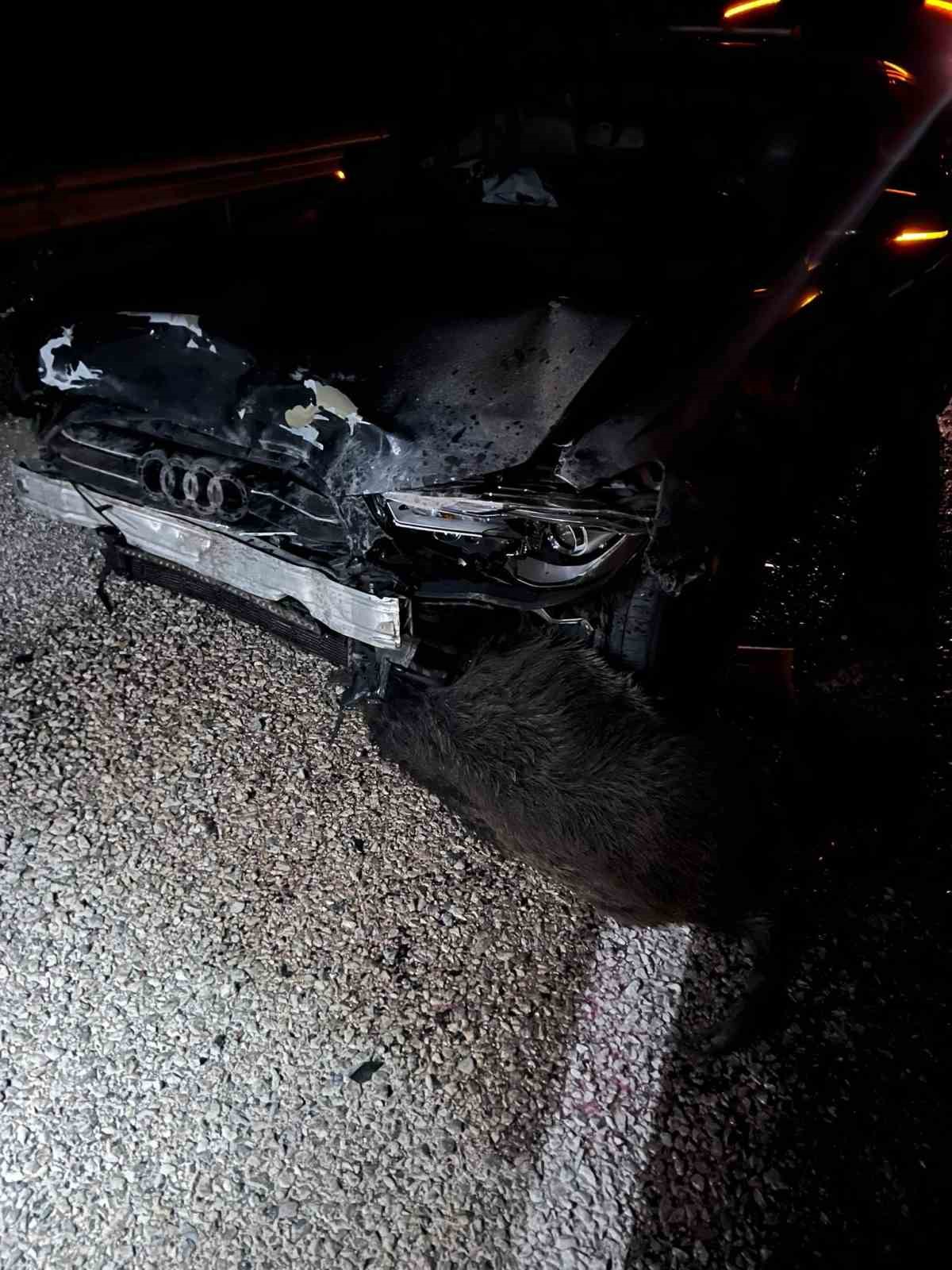 sinop-belediye-baskani-gurbuzun-makam-araci-domuz-surusune-carpti