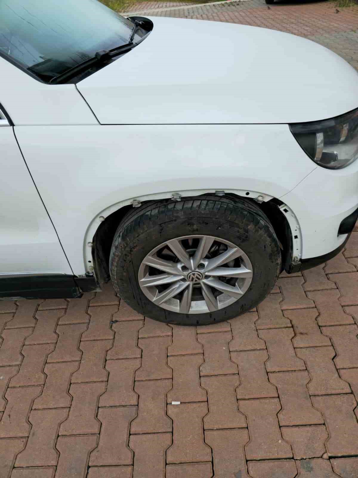 sokak-kopekleri-park-halindeki-araci-parcaladi-o-anlar-kamerada