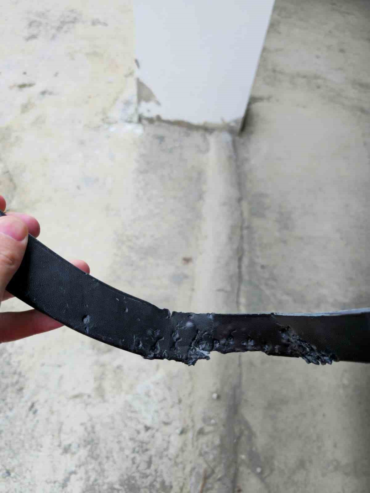 sokak-kopekleri-park-halindeki-araci-parcaladi-o-anlar-kamerada