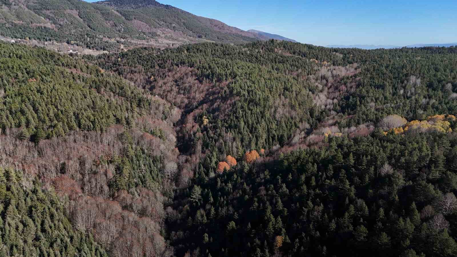 tum-ekipler-88-yasindaki-orhan-amcayi-bulmak-icin-seferber-oldu