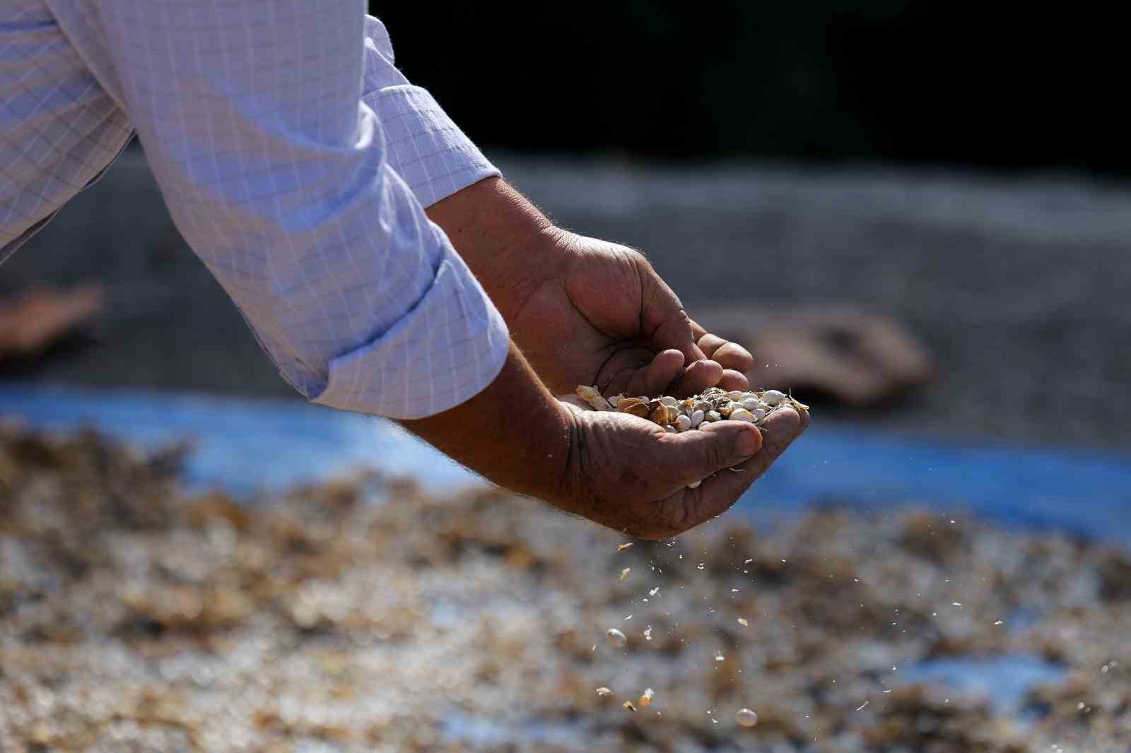 ureticiden-ihtiyac-sahiplerine-uzanan-dayanisma-agi