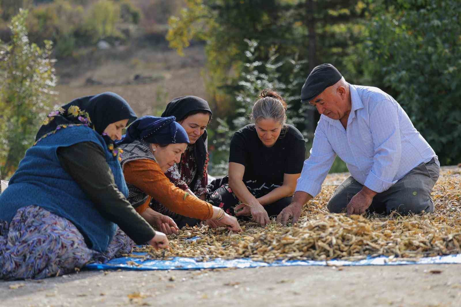 ureticiden-ihtiyac-sahiplerine-uzanan-dayanisma-agi