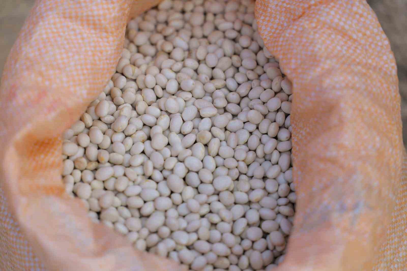 ureticiden-ihtiyac-sahiplerine-uzanan-dayanisma-agi