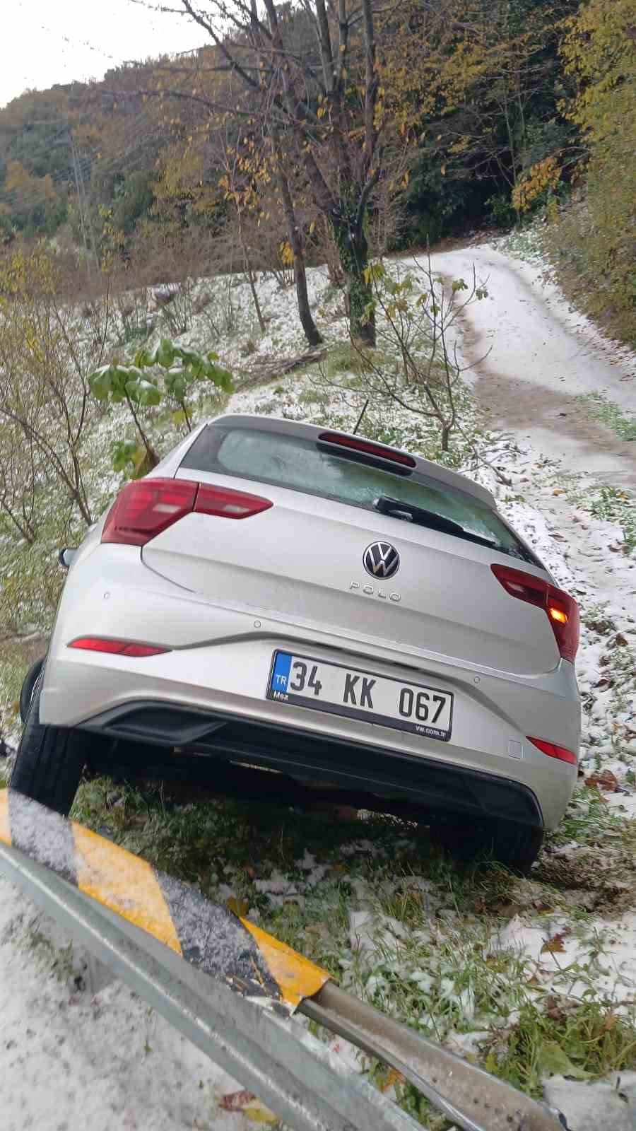 alaplida-otomobil-yoldan-cikti