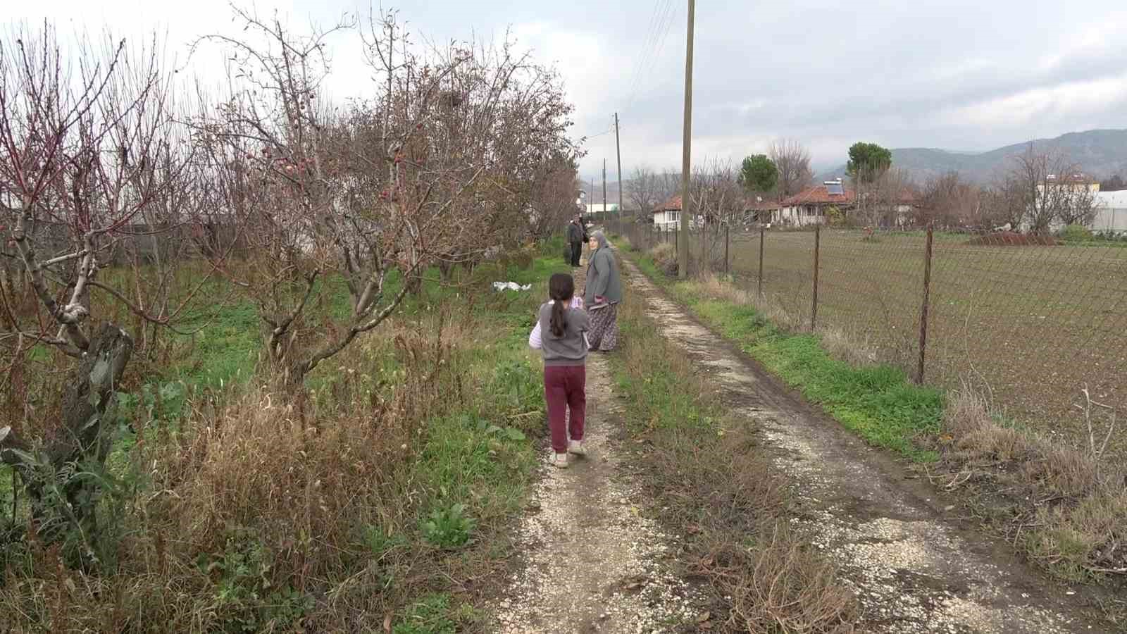 amasyali-feruziye-nine-serada-kisin-uzum-yetistirip-satiyor