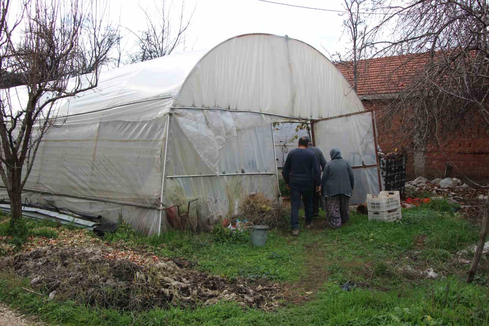 amasyali-feruziye-nine-serada-kisin-uzum-yetistirip-satiyor