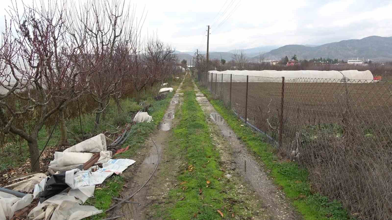 amasyali-feruziye-nine-serada-kisin-uzum-yetistirip-satiyor