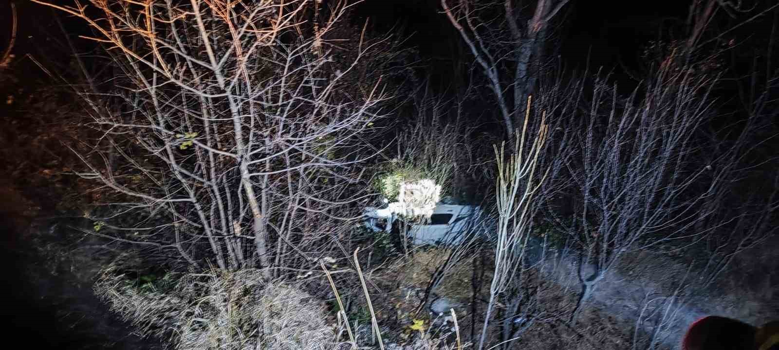 artvinde-otomobil-ucuruma-yuvarlandi-4-yarali