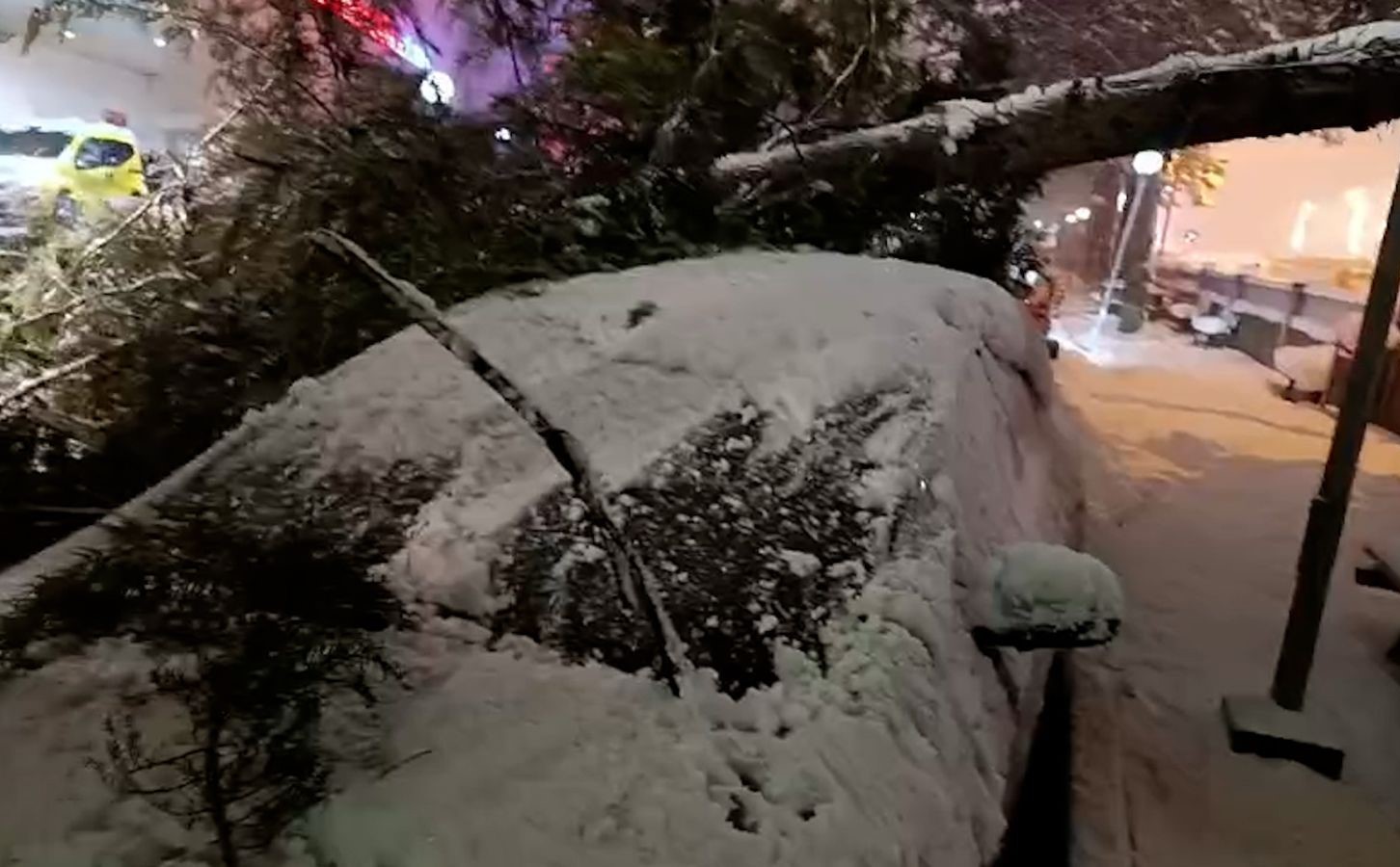 boluda-park-halindeki-araclarin-uzerine-agac-devrildi