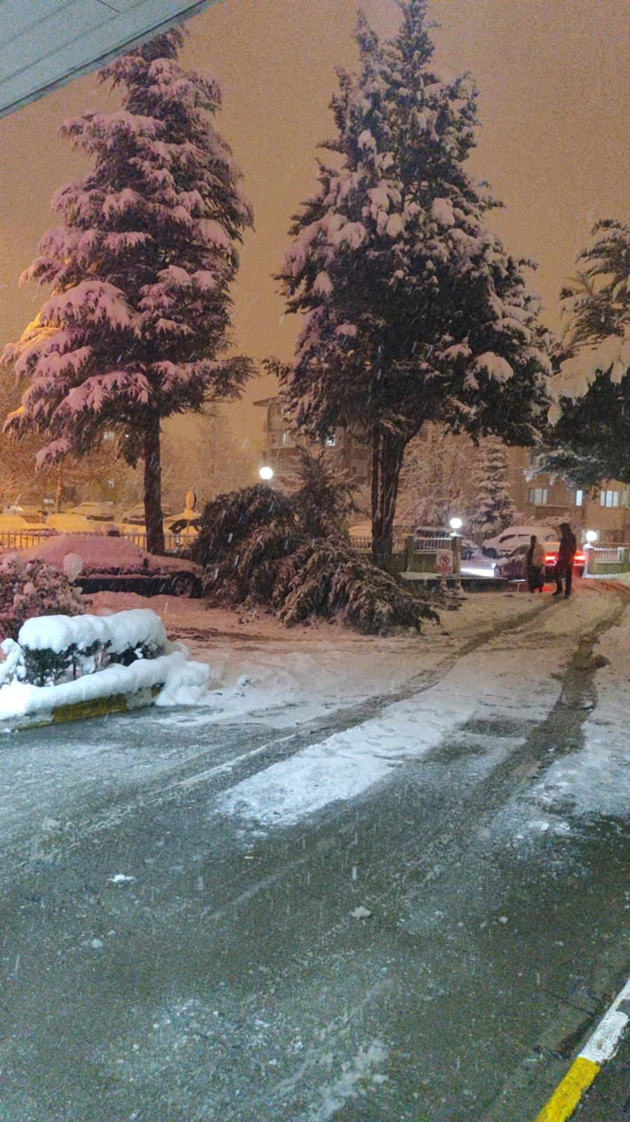 boluda-park-halindeki-araclarin-uzerine-agac-devrildi