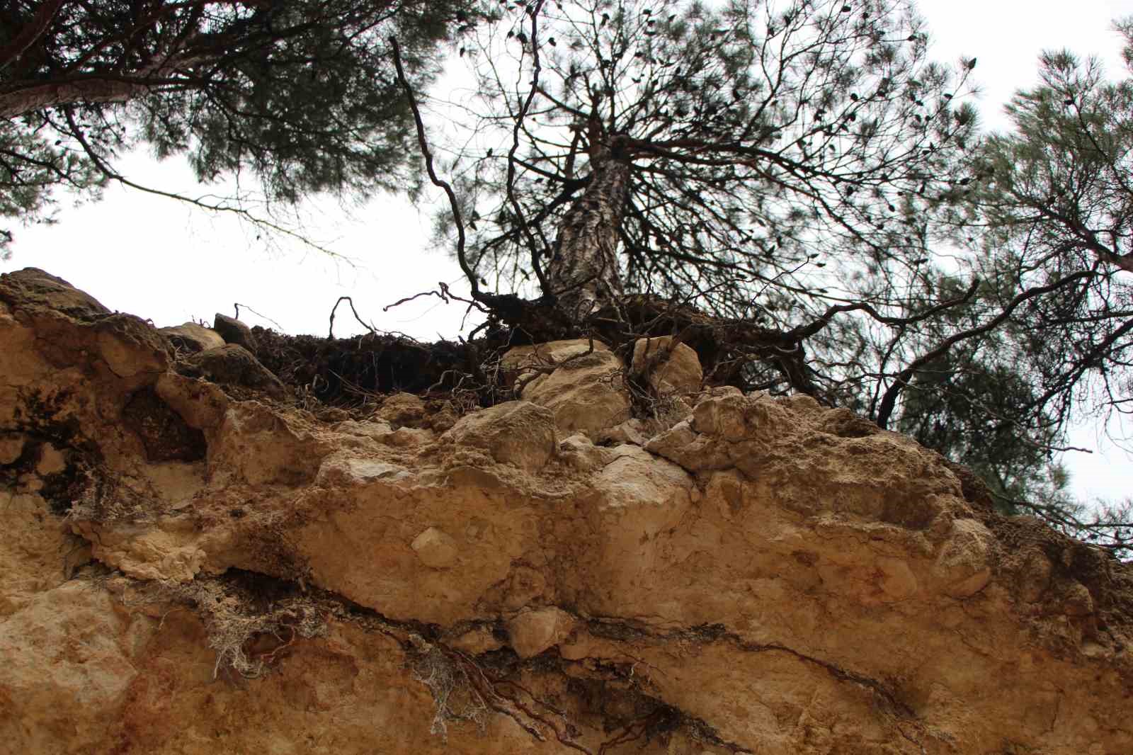 ferhat-diyari-amasyada-pekmez-icin-dagi-deldiler-goren-sasti-kaldi