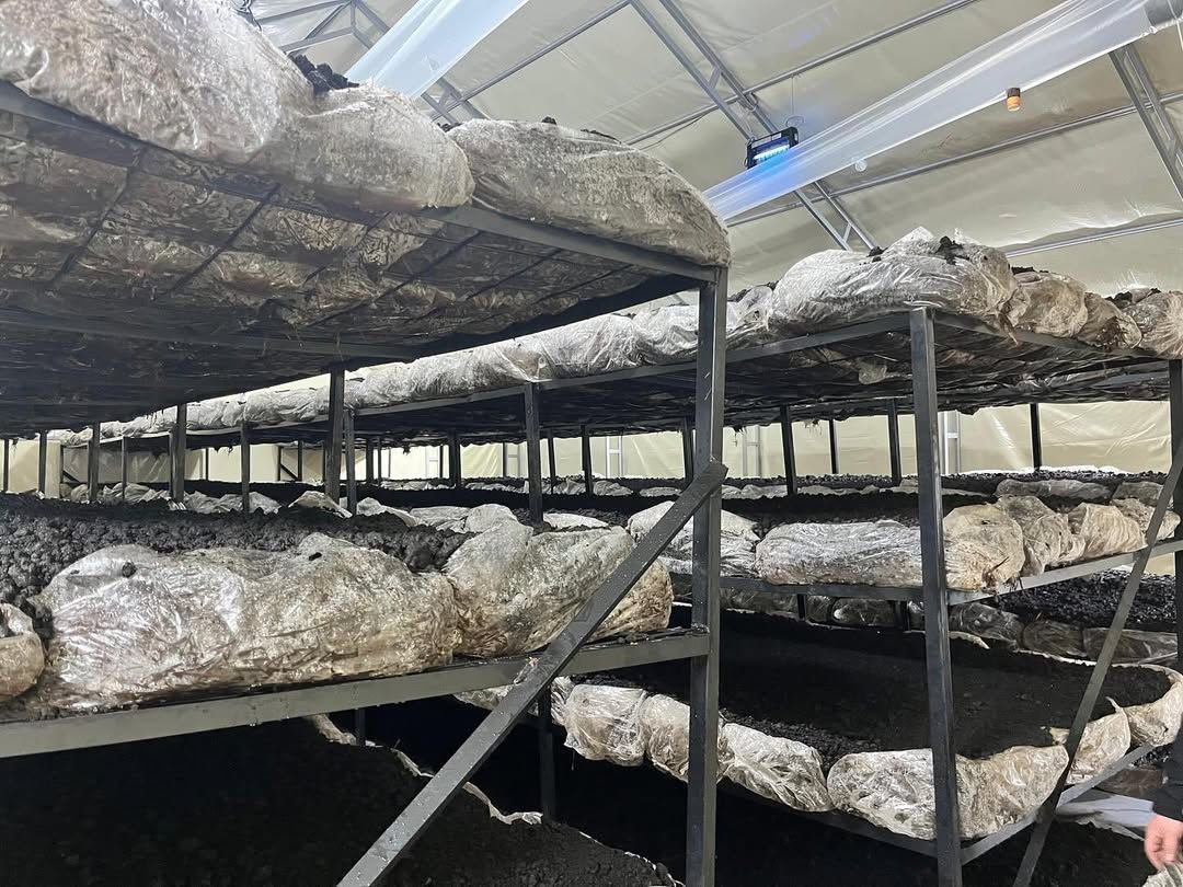 ilcenin-ekonomisine-yeni-soluk