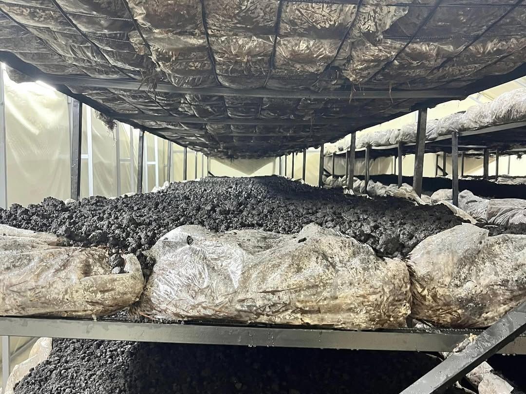 ilcenin-ekonomisine-yeni-soluk