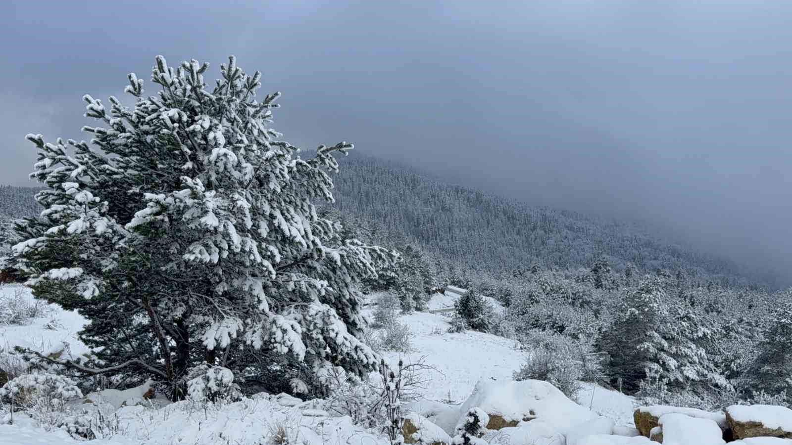 karabukte-suruculer-karin-tadini-drift-atarak-cikardi