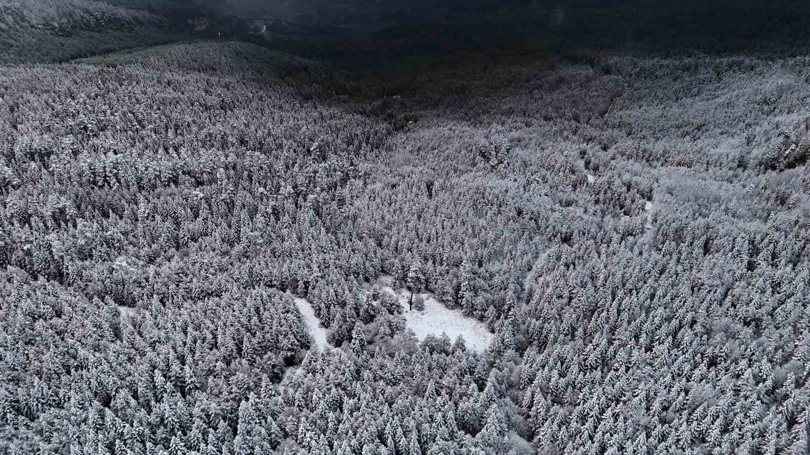 karabukte-suruculer-karin-tadini-drift-atarak-cikardi