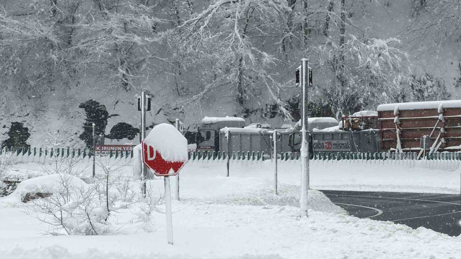 karda-yolda-kalan-tir-2-cekici-ile-kurtarildi