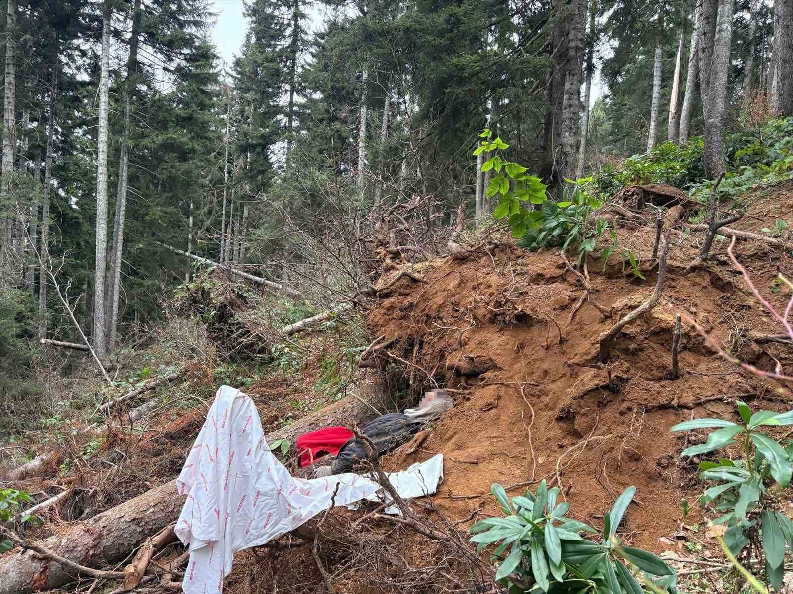 kestigi-agacin-altinda-kalan-bir-kisi-hayatini-kaybetti