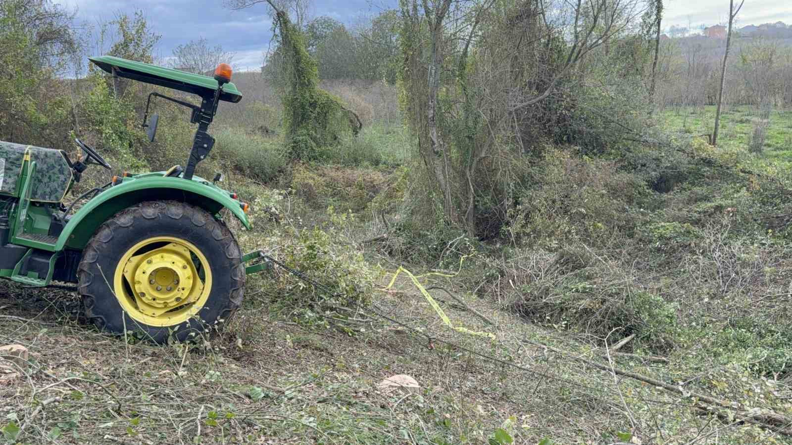 komsusuna-agac-kesiminde-yardim-ederken-hayatini-kaybetti