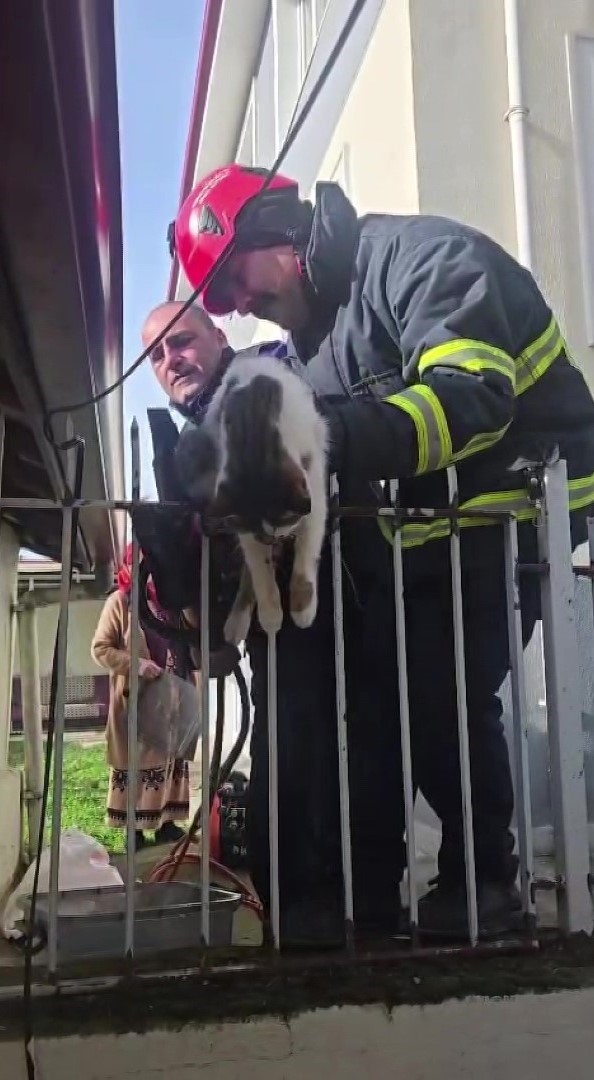 korkuluga-saplanan-kediyi-itfaiyeciler-kurtardi