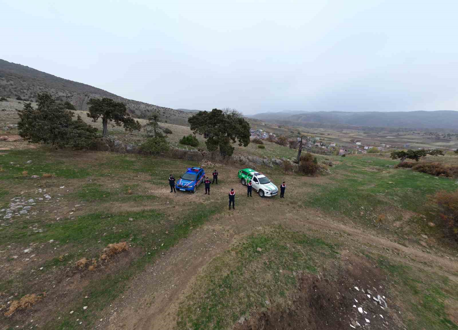 koy-halki-508-yasindaki-ardic-agacinin-tescilini-istiyor