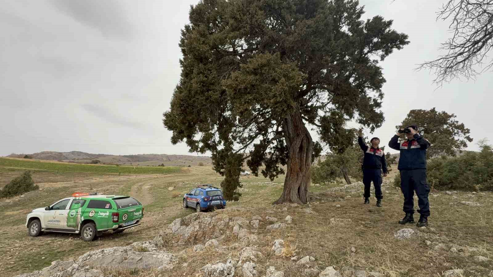 koy-halki-508-yasindaki-ardic-agacinin-tescilini-istiyor