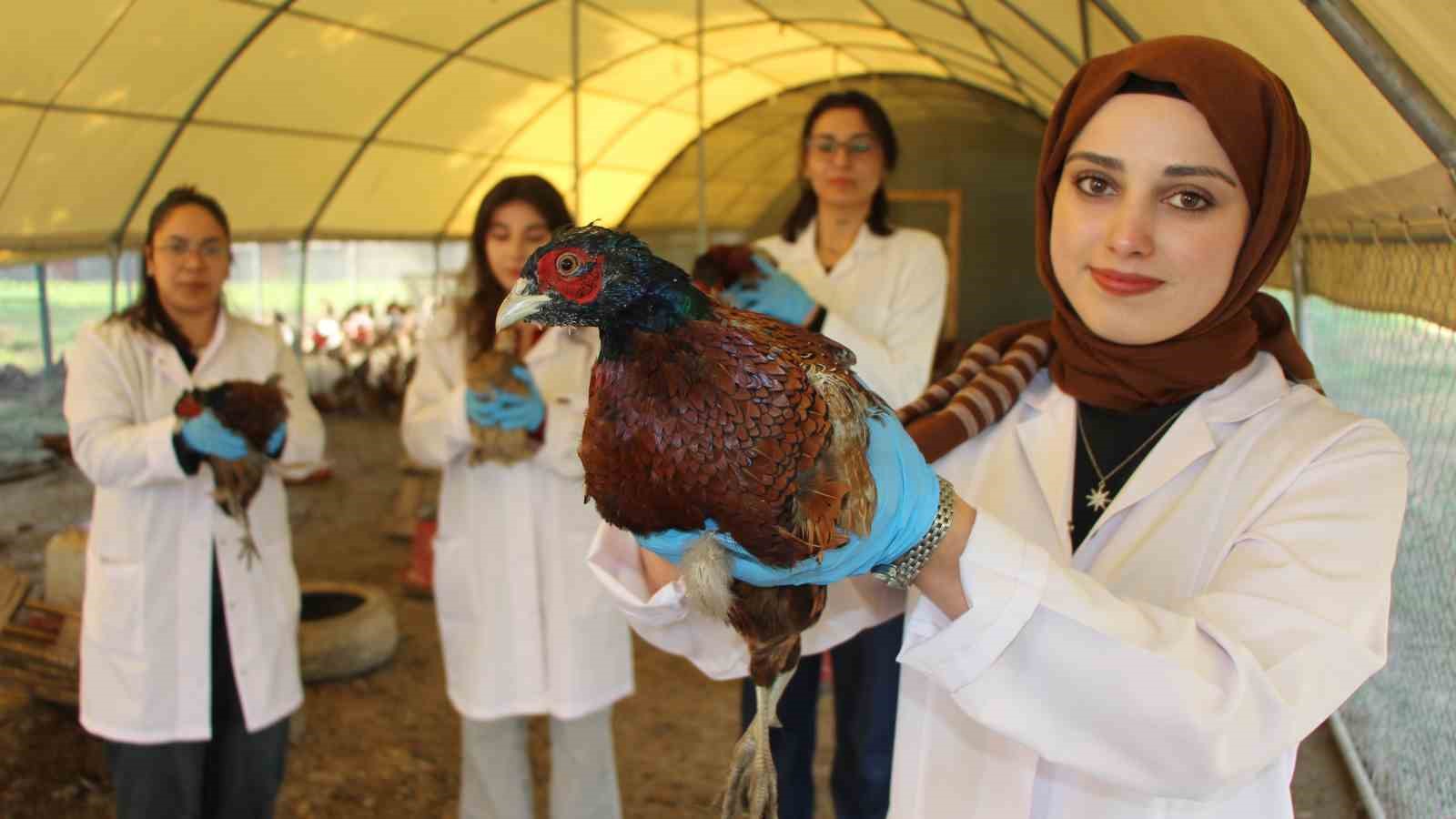 padisah-sofralarinin-vazgecilmeziydi-amasyada-sulun-eti-yeniden-sofralara-donuyor