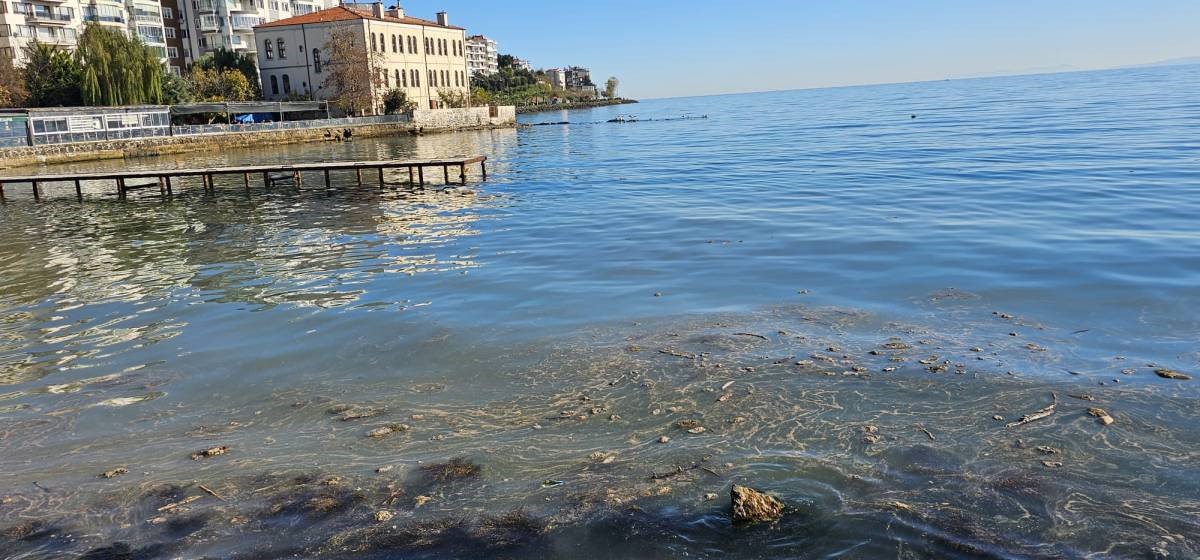 sinopta-deniz-yuzeyindeki-kirlilik-vatandaslari-endiselendirdi