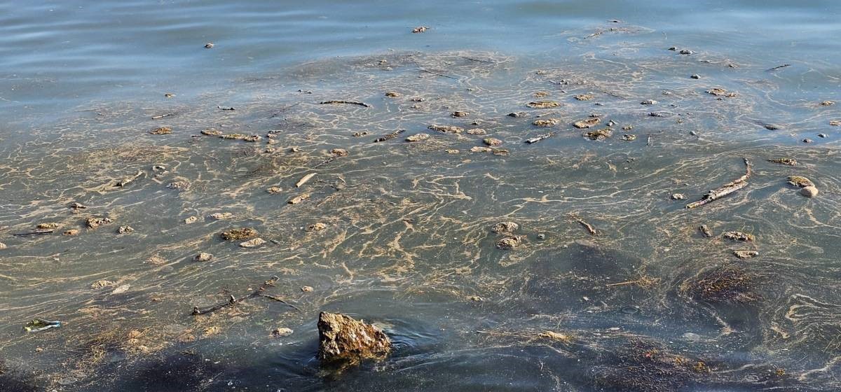 sinopta-deniz-yuzeyindeki-kirlilik-vatandaslari-endiselendirdi