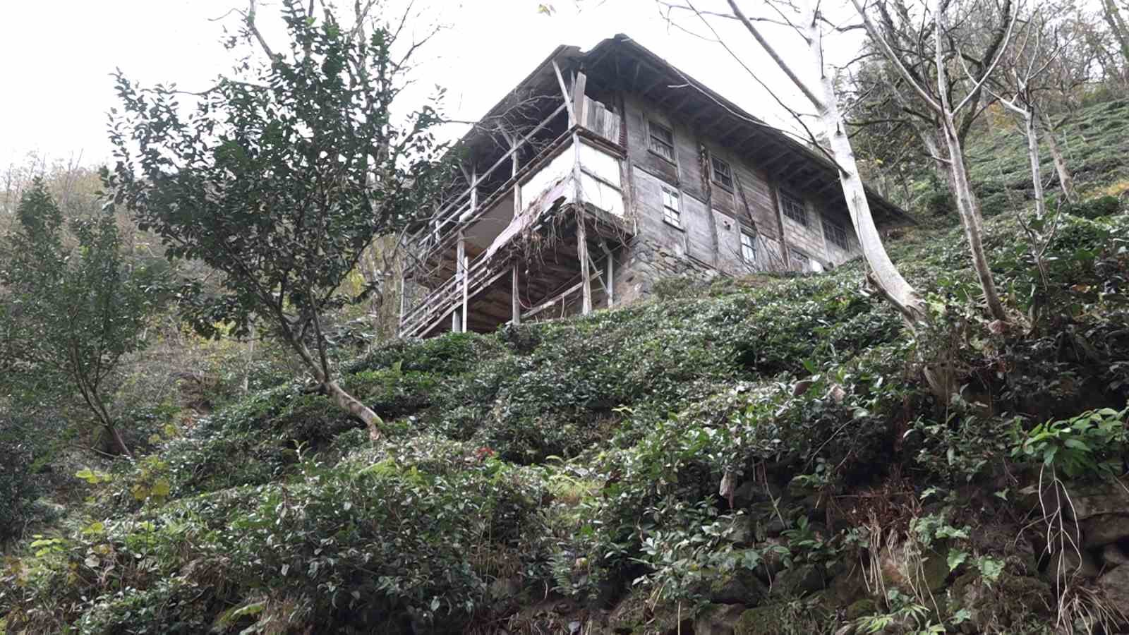 tirmandigi-balkonda-kovanlardaki-bali-yiyen-ayi-kameralara-yakalandi