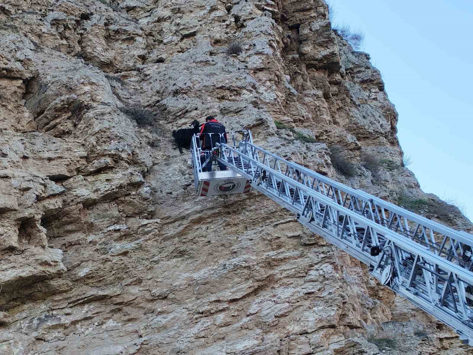 ucurumda-mahsur-kalan-kecileri-itfaiye-kurtardi