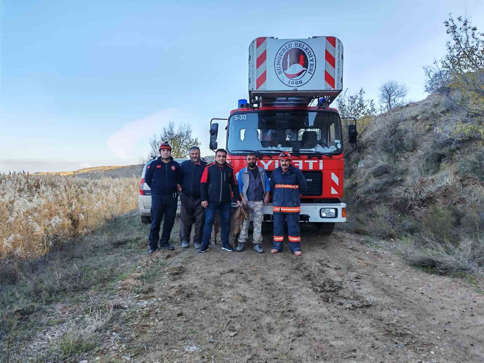 ucurumda-mahsur-kalan-kecileri-itfaiye-kurtardi