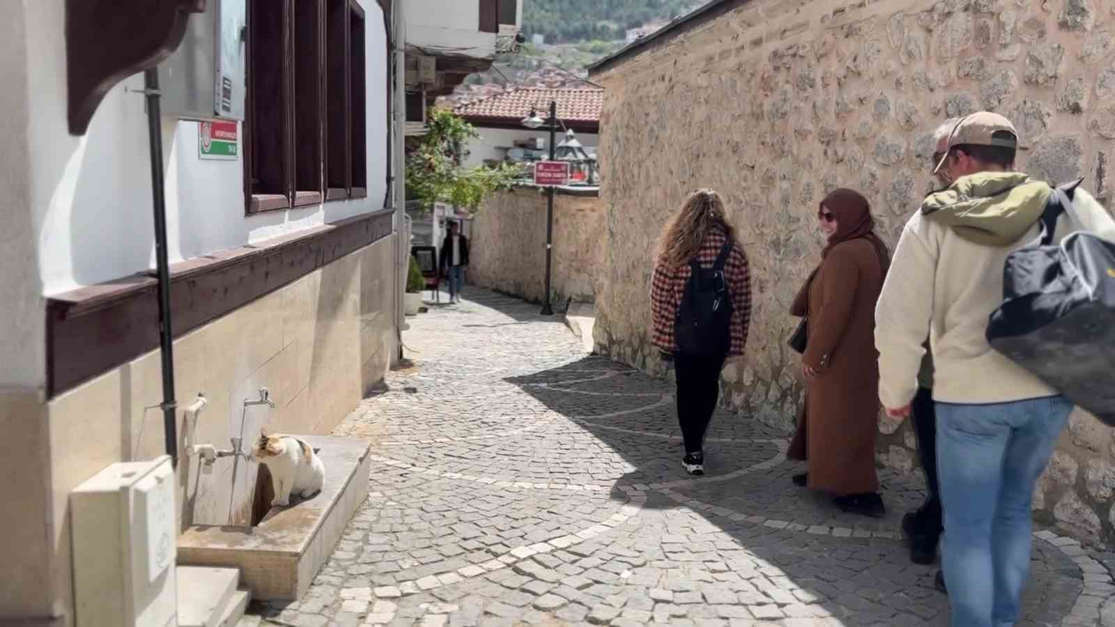 amasyada-kediler-susuzluktan-cami-cesmelerinin-onunde-bekliyor