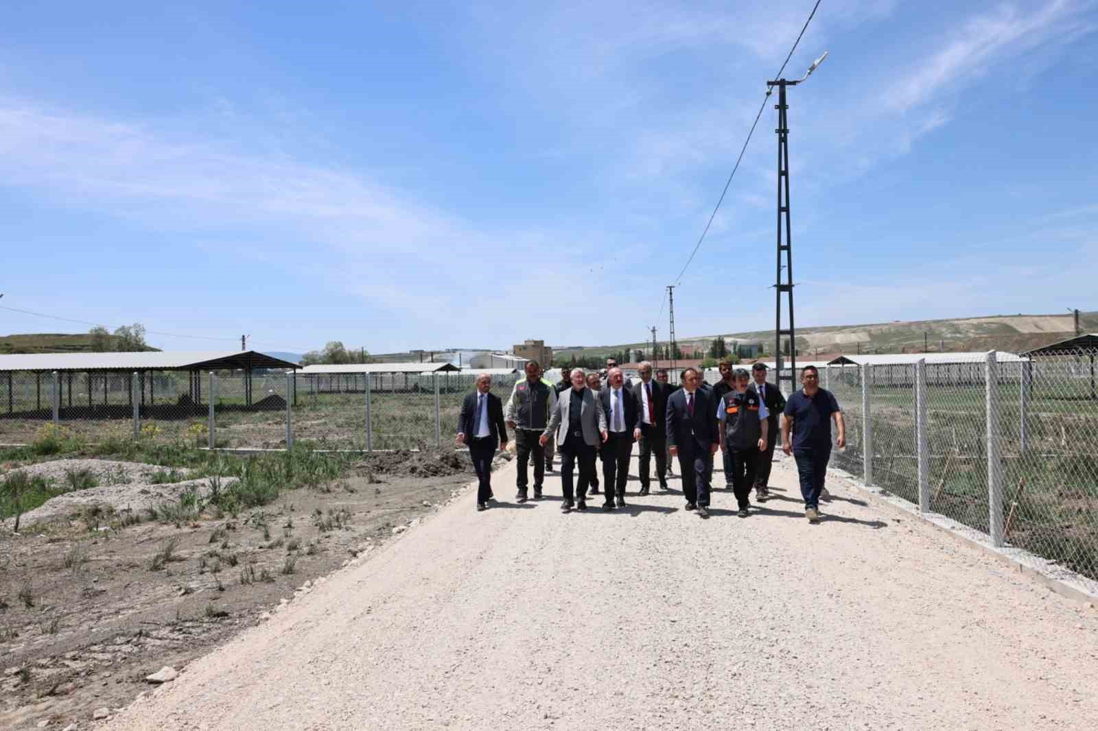 corumda-sokak-hayvanlari-icin-yapilan-dogal-yasam-alaninda-calismalar-tamamlandi