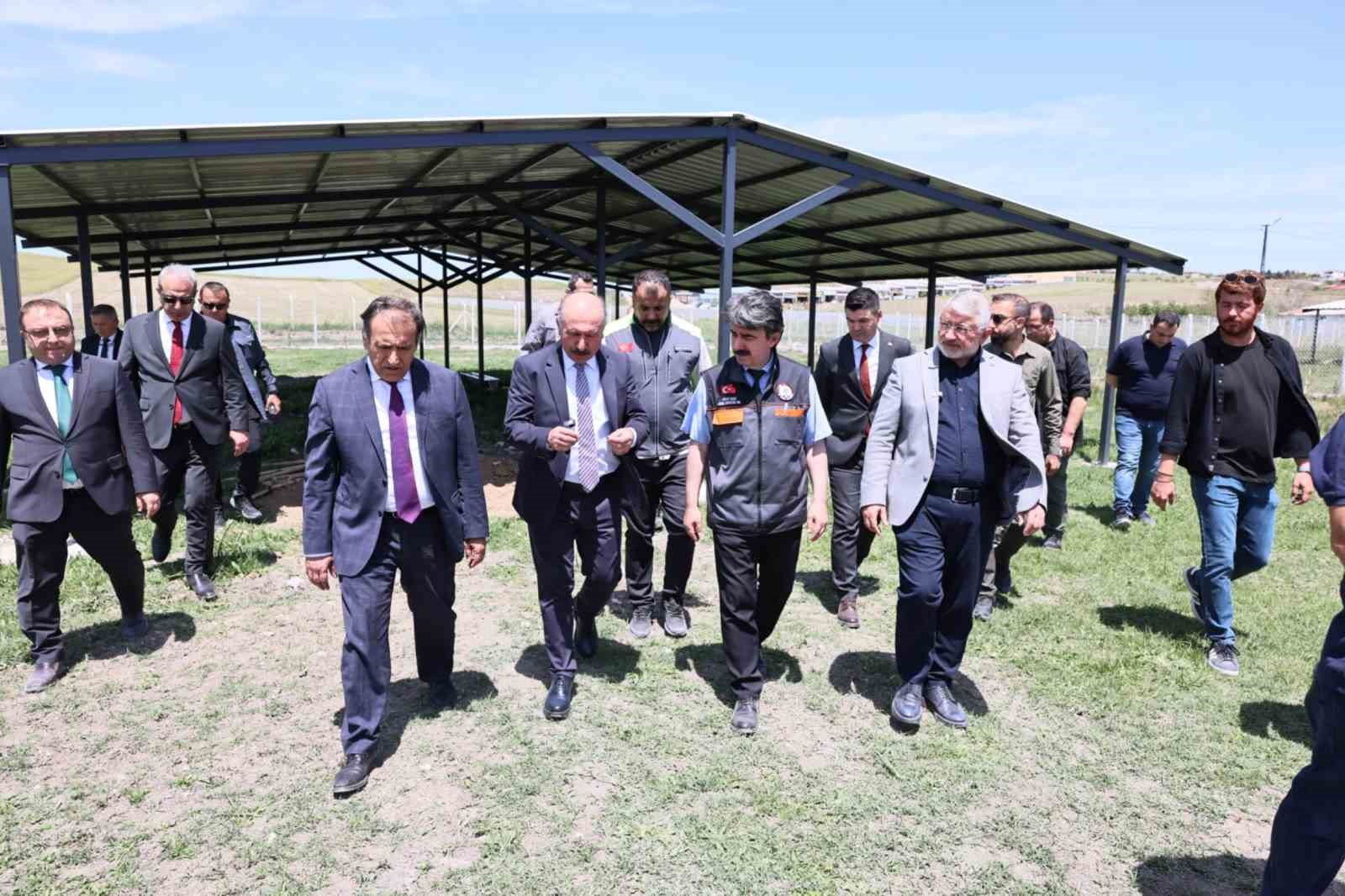 corumda-sokak-hayvanlari-icin-yapilan-dogal-yasam-alaninda-calismalar-tamamlandi