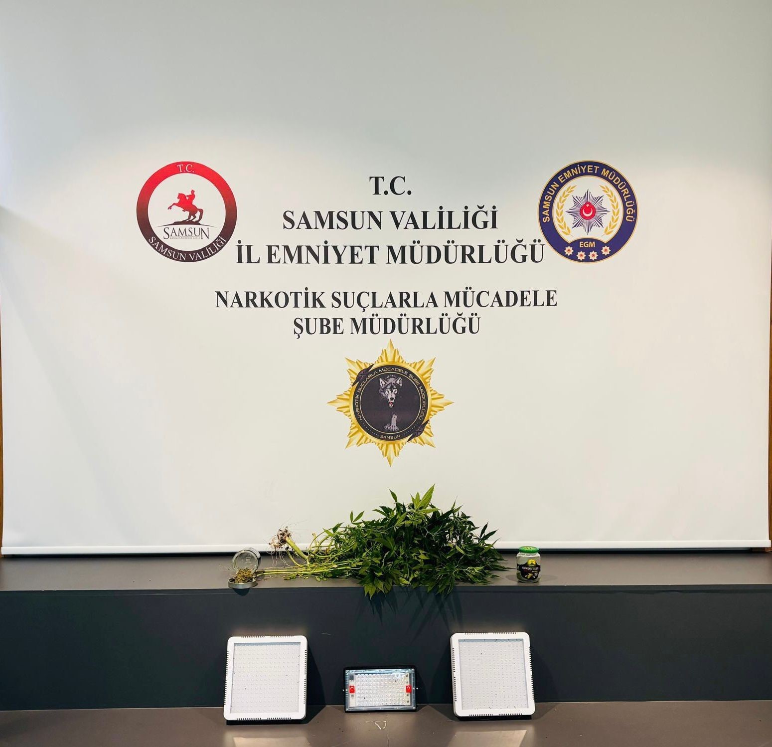 evin-icinde-kenevir-serasi-ele-gecirildi