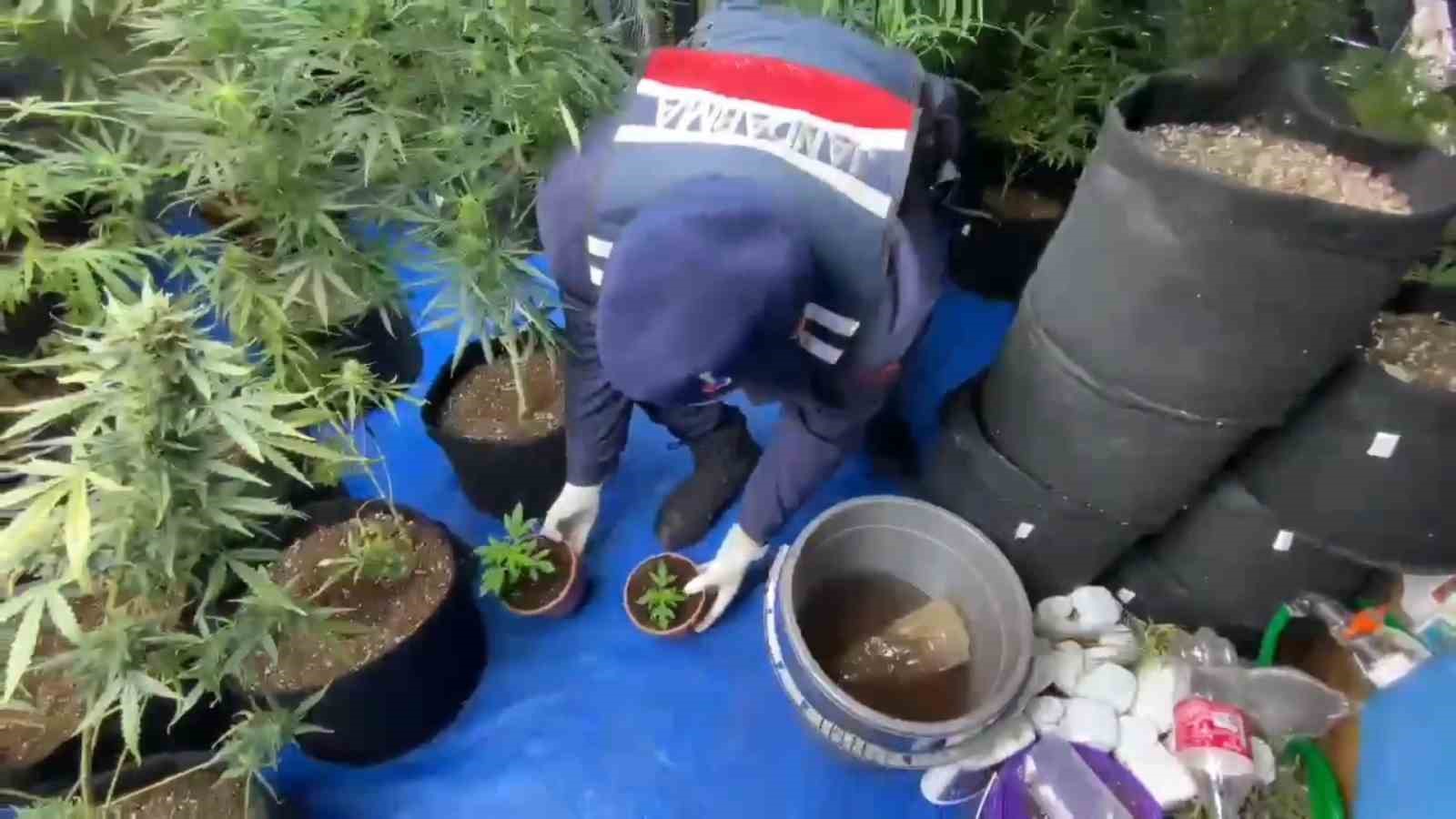 internetten-izleyip-5-kattaki-evini-uyusturucu-tarlasina-cevirdi