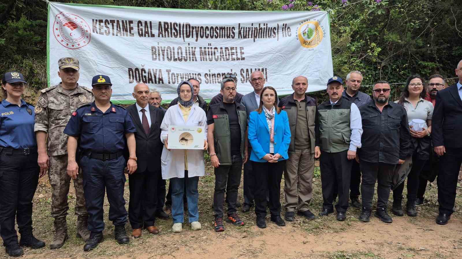 karadenizde-katil-arilara-karsi-terminator-boceklerle-mucadele