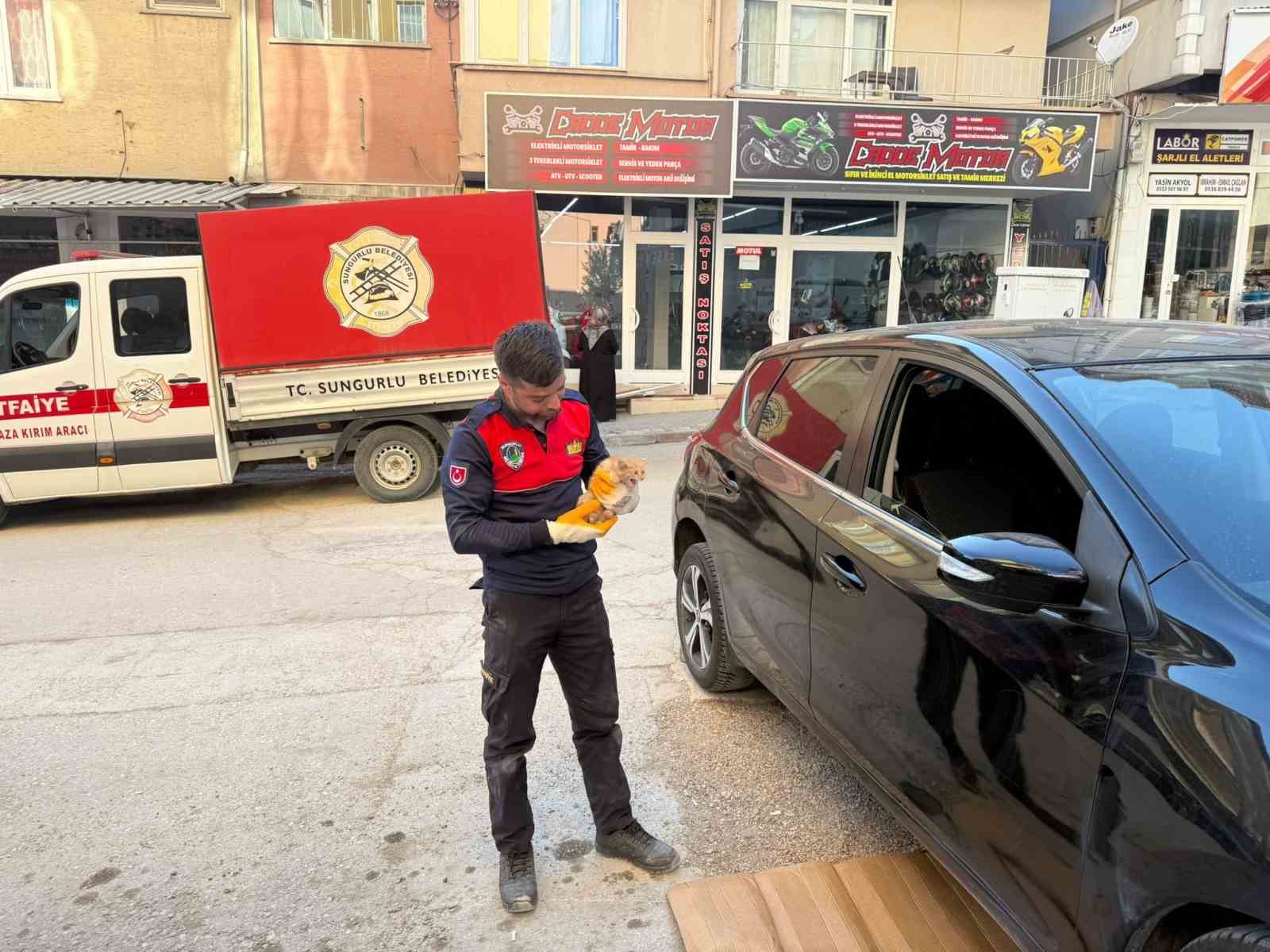 otomobilin-motor-kismina-giren-yavru-kediyi-itfaiye-kurtardi