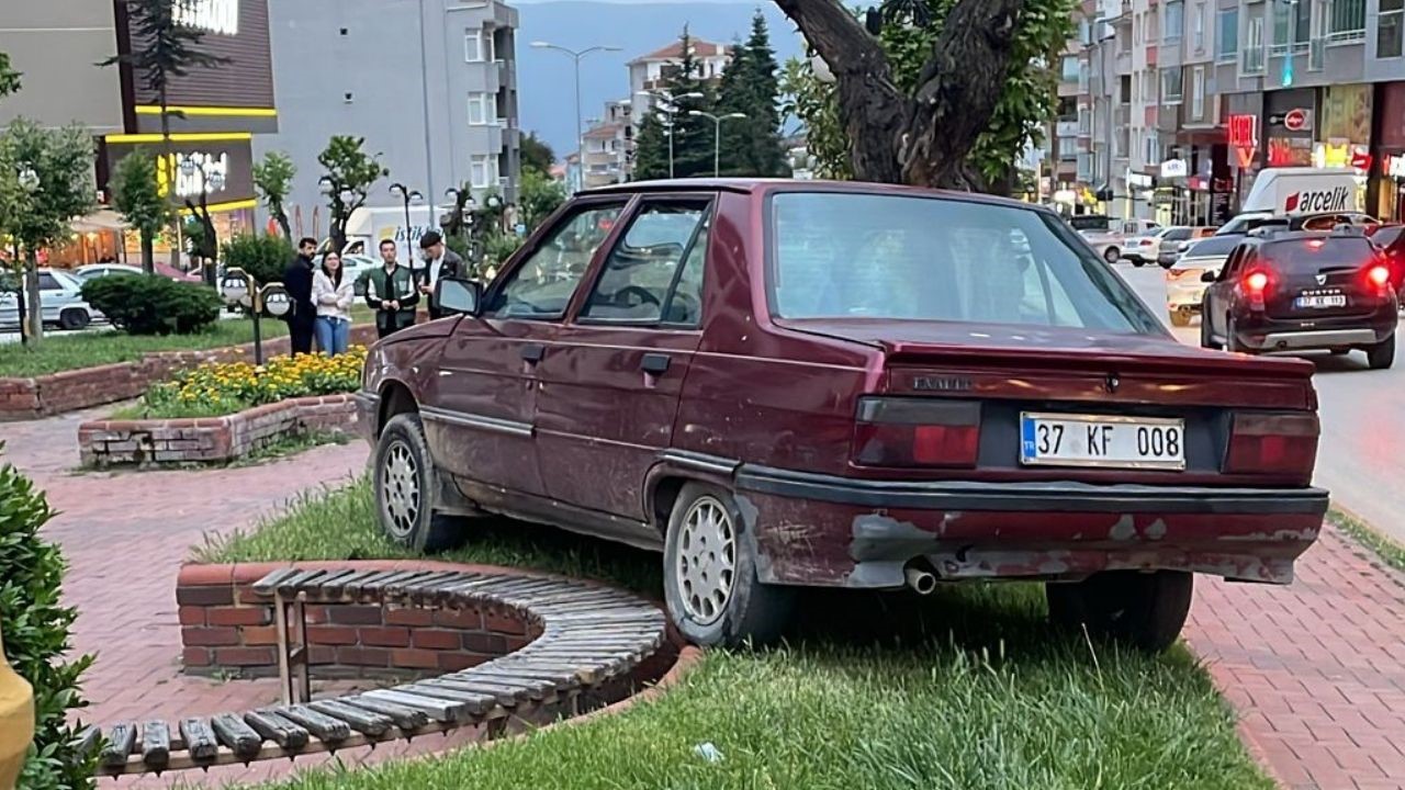 park-halindeyken-haraket-eden-otomobil-agaraca-carparak-durabildi