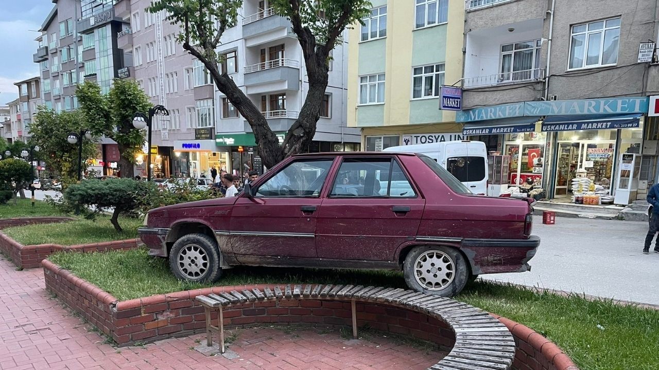 park-halindeyken-haraket-eden-otomobil-agaraca-carparak-durabildi