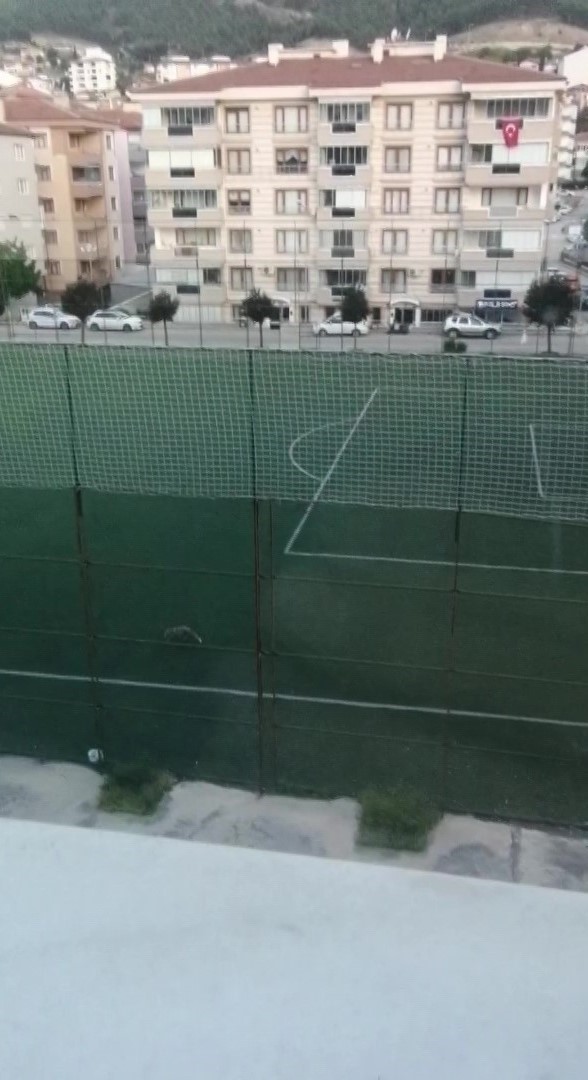 tilki-futbol-sahasina-girdi