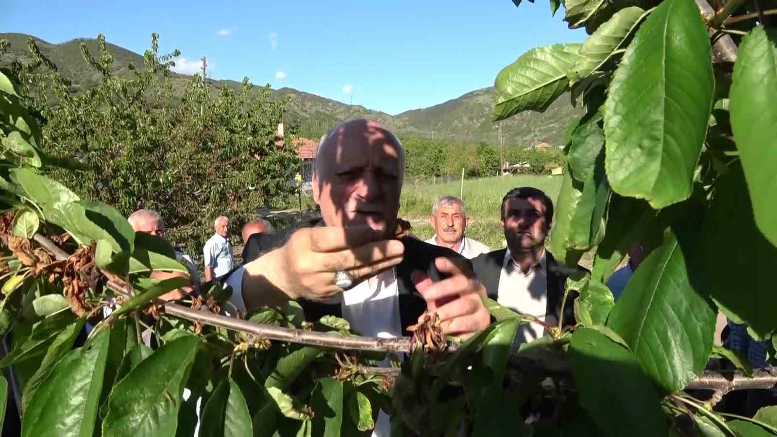 tzob-genel-baskani-bayraktar-tarimda-calisan-genclerimizin-orani-yuzde-5lere-kadar-dustu