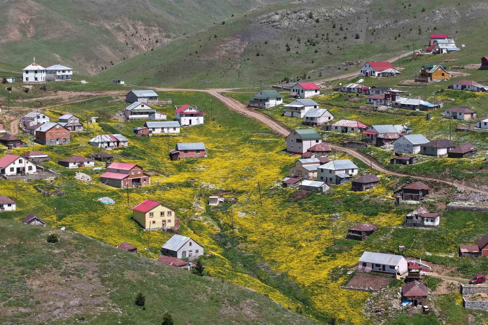 3-bin-kilometreden-gelip-memleketini-tanitiyor