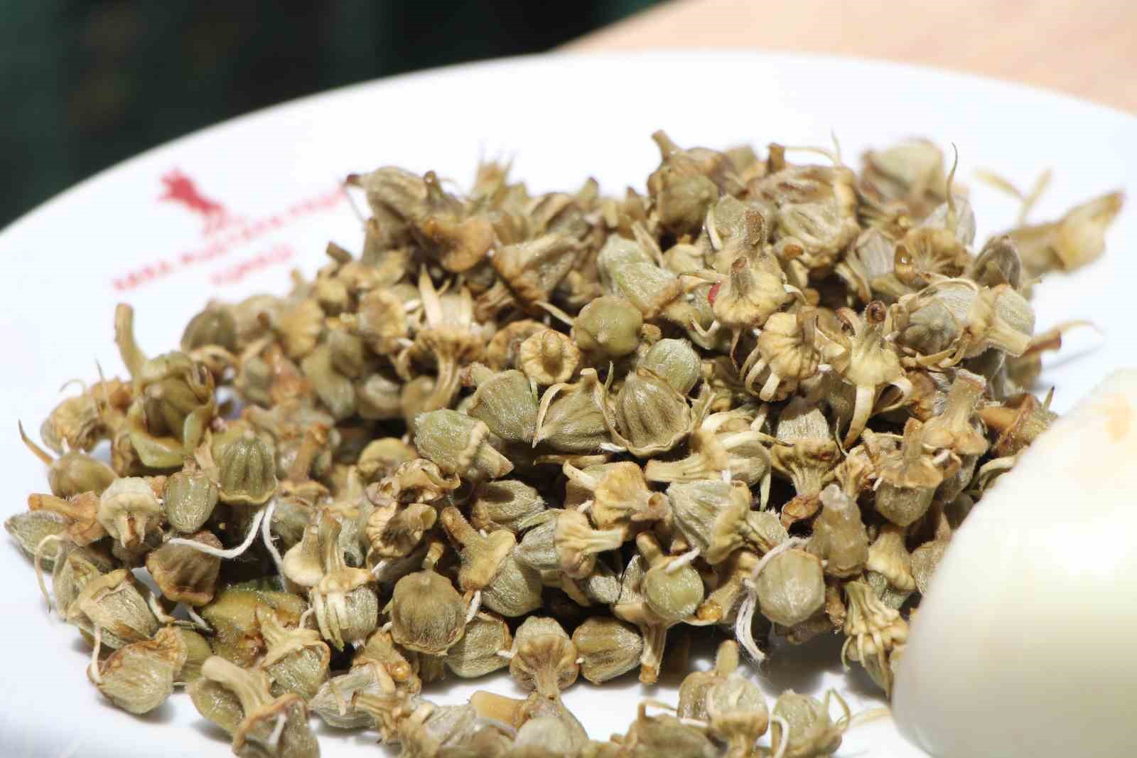 anadolunun-600-yillik-ilk-derbisi-gastronomi-festivaline-tasindi-lahanacilar-ve-bamyacilar-yaristi