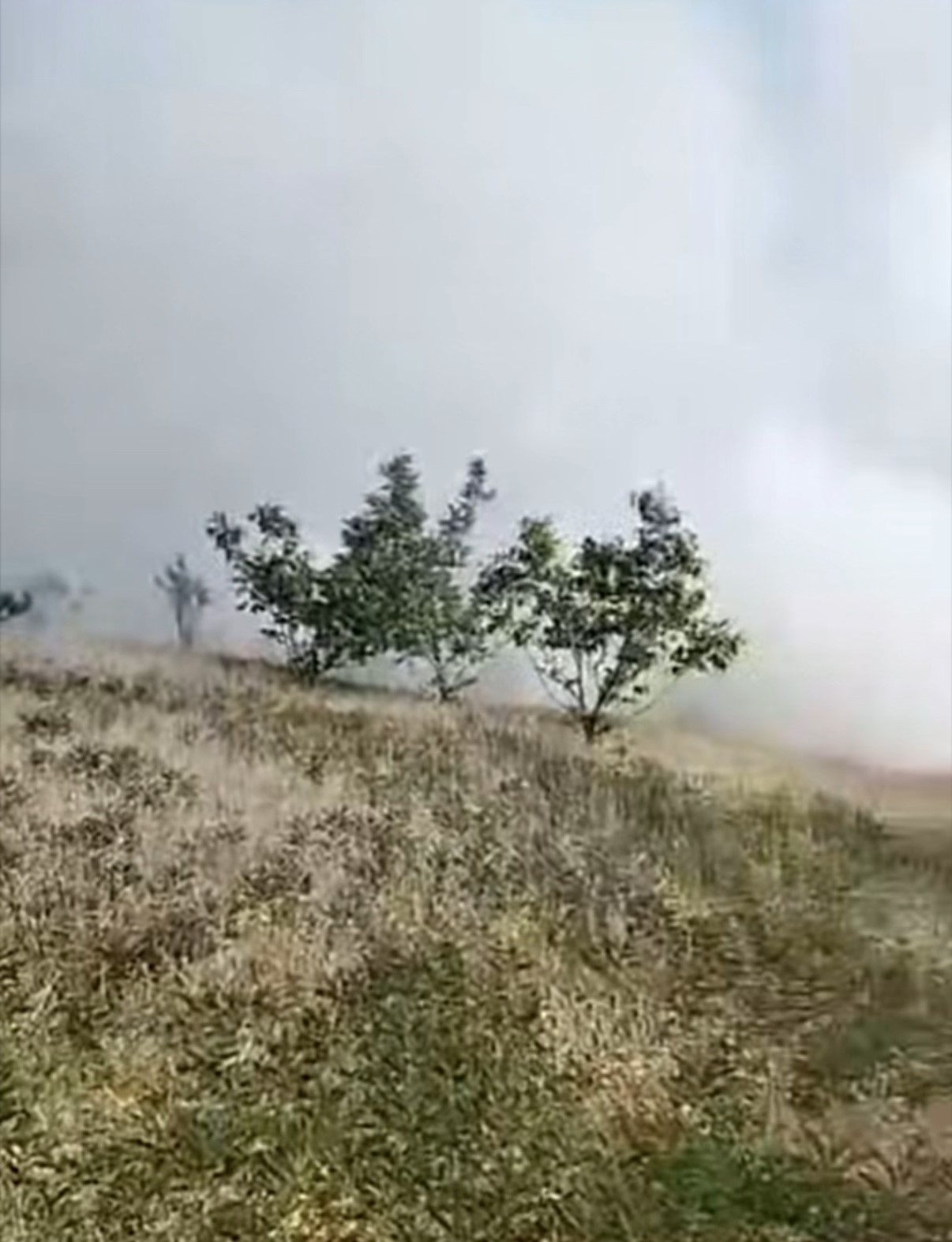 duzcede-orman-yangini-5-hektarlik-alan-kule-dondu
