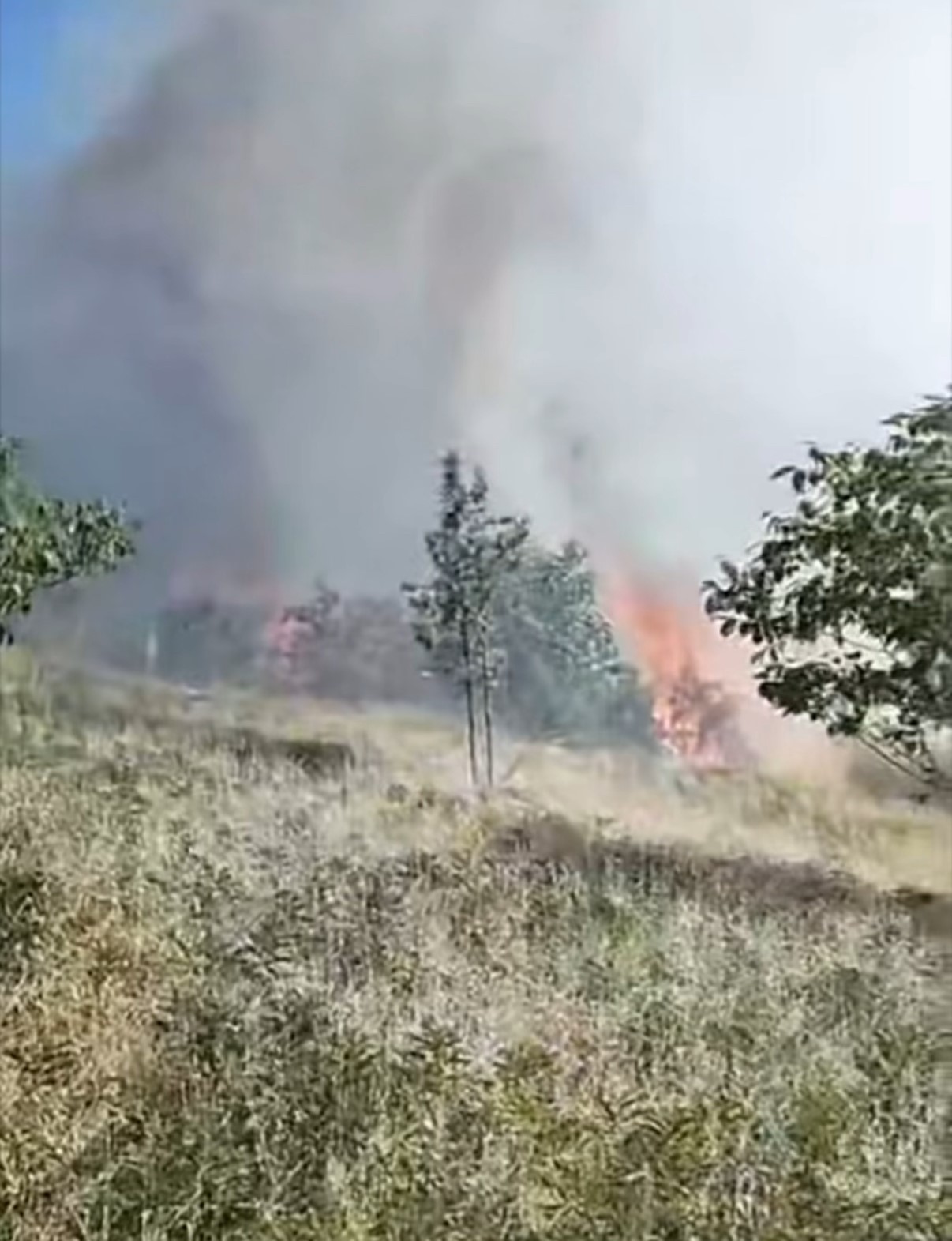 duzcede-orman-yangini-5-hektarlik-alan-kule-dondu