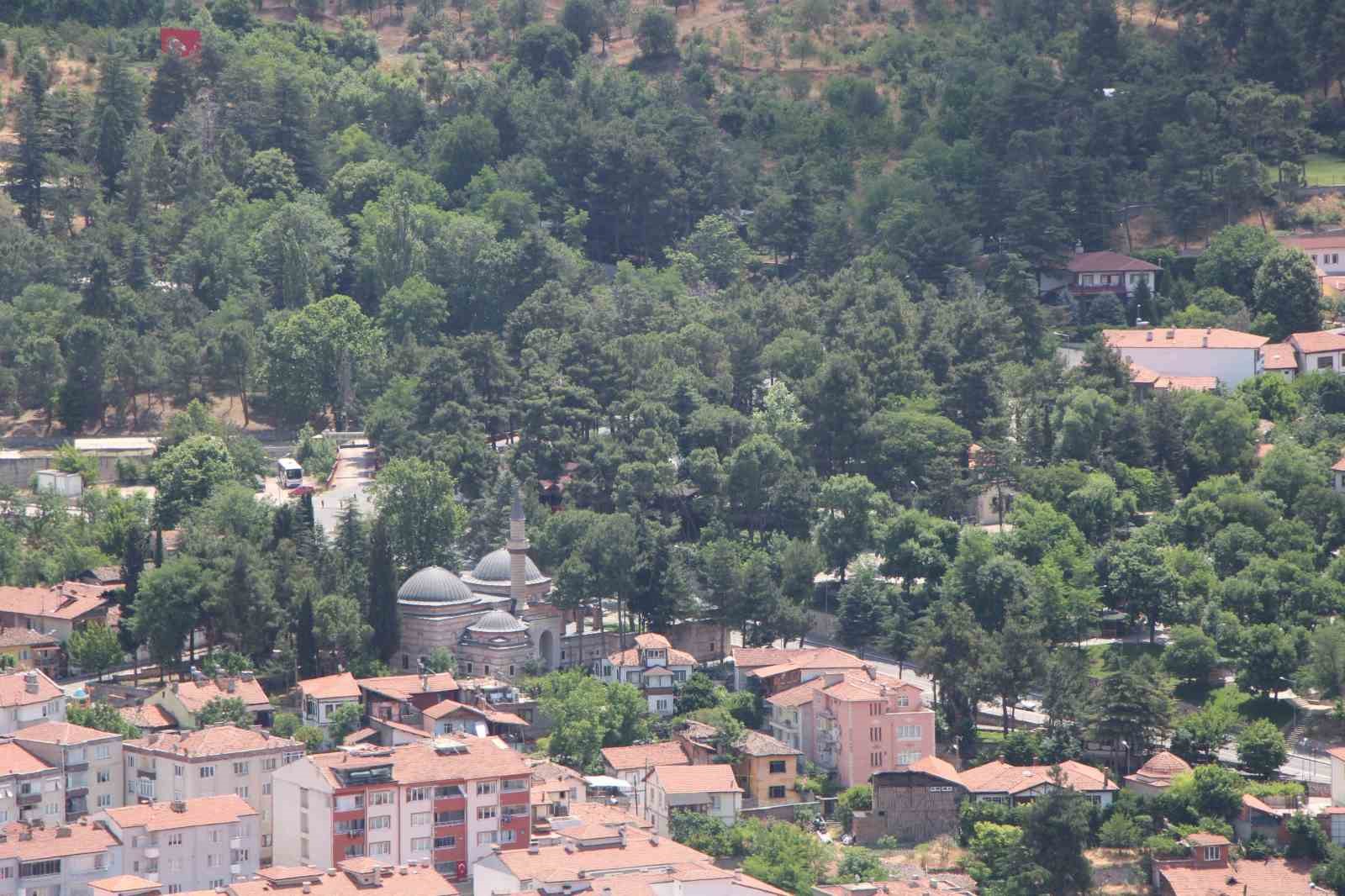 kahverengi-kokarca-yayiliyor-amasyada-da-tespit-edildi