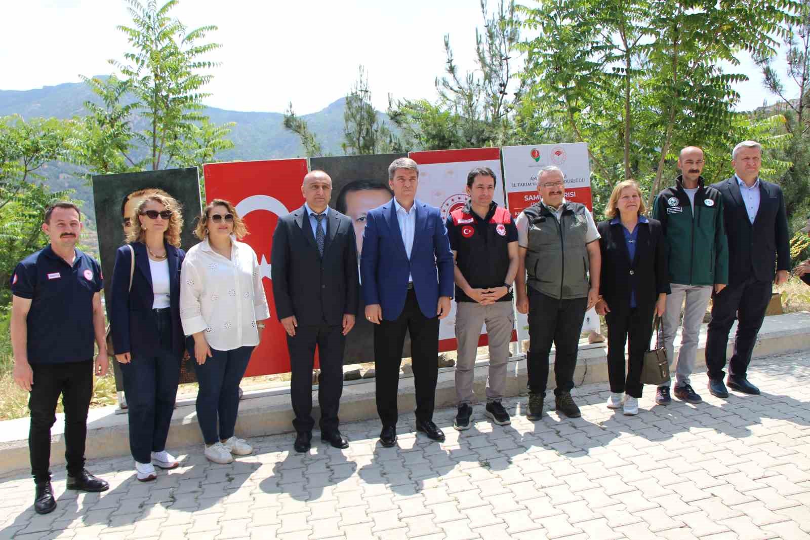 kahverengi-kokarca-yayiliyor-amasyada-da-tespit-edildi